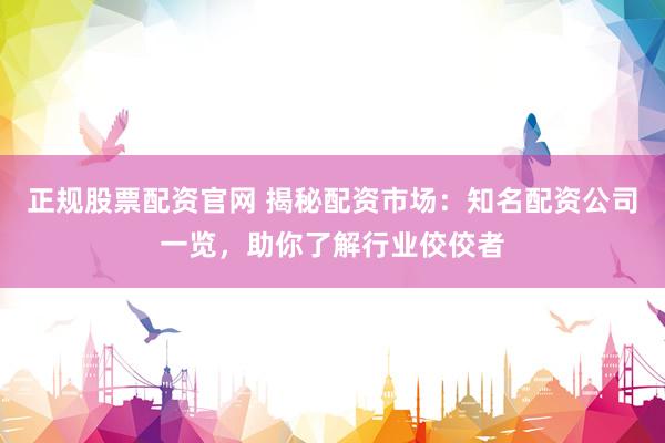 正规股票配资官网 揭秘配资市场：知名配资公司一览，助你了解行业佼佼者