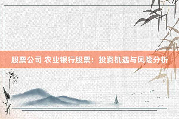 股票公司 农业银行股票：投资机遇与风险分析