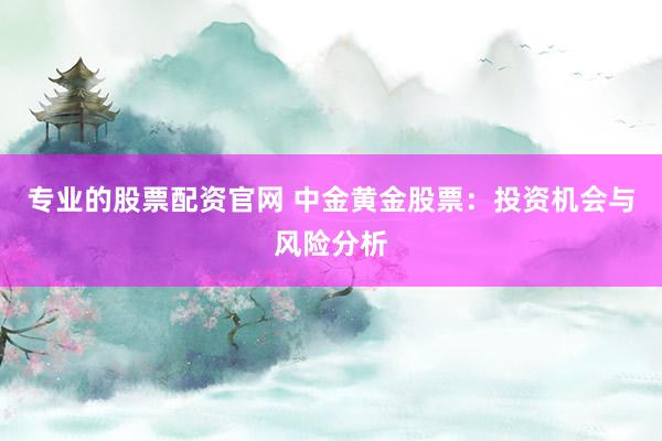 专业的股票配资官网 中金黄金股票：投资机会与风险分析