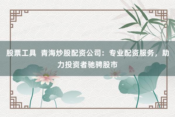股票工具  青海炒股配资公司：专业配资服务，助力投资者驰骋股市