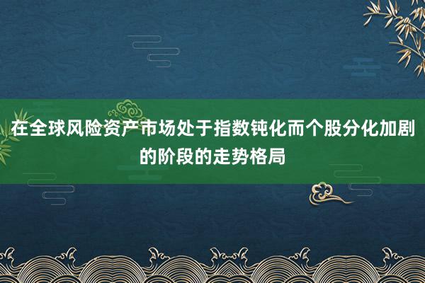 在全球风险资产市场处于指数钝化而个股分化加剧的阶段的走势格局