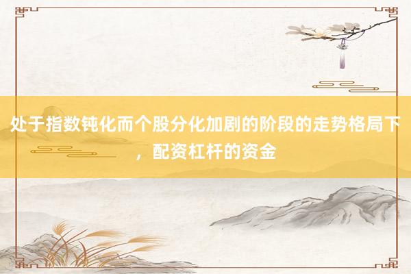处于指数钝化而个股分化加剧的阶段的走势格局下，配资杠杆的资金