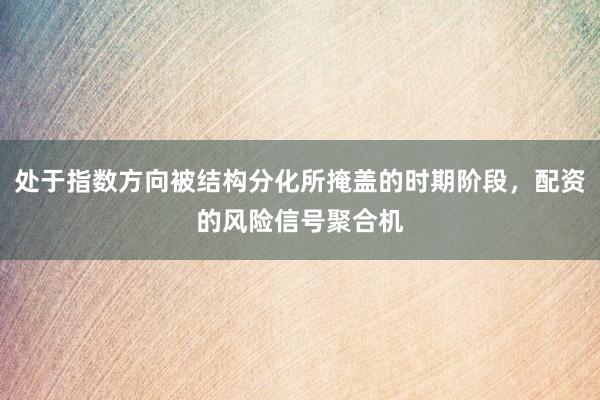 处于指数方向被结构分化所掩盖的时期阶段，配资的风险信号聚合机