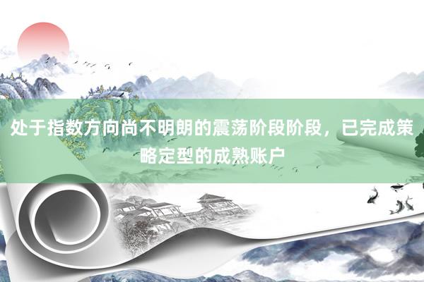 处于指数方向尚不明朗的震荡阶段阶段，已完成策略定型的成熟账户