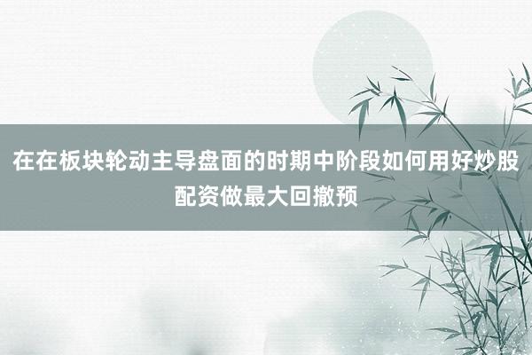 在在板块轮动主导盘面的时期中阶段如何用好炒股配资做最大回撤预