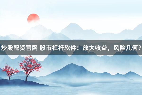炒股配资官网 股市杠杆软件：放大收益，风险几何？