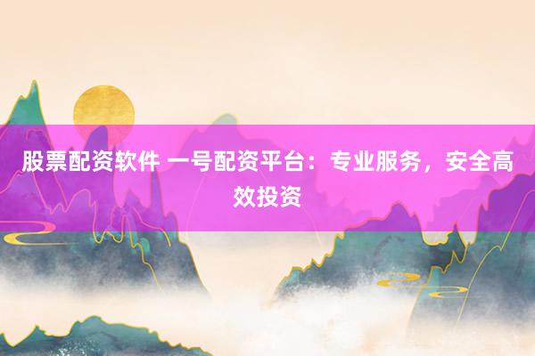 股票配资软件 一号配资平台：专业服务，安全高效投资