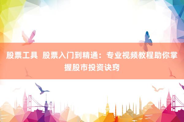 股票工具  股票入门到精通：专业视频教程助你掌握股市投资诀窍