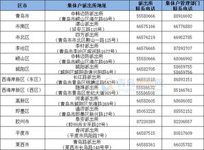 派遣期高校毕业生落户青岛可直接办理 不再审核资格